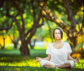 世界杯盘口分析-范戴克，定海神针与命运之锚，如何牵动塞内加尔的世界杯棋局